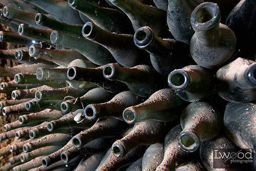 Home Interior, INDesign Marketing Services interiors design