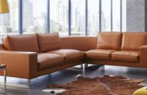 trendy design sofa Singapore | small chairs Singapore | trendy home furniture design Singapore | INDesign Marketing Services