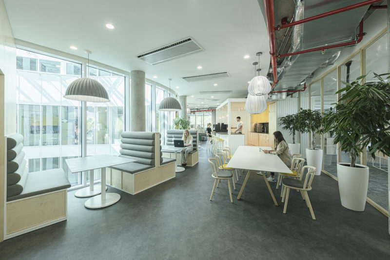 A Tour of MSC’s New Prague Office, INDesign Marketing Services