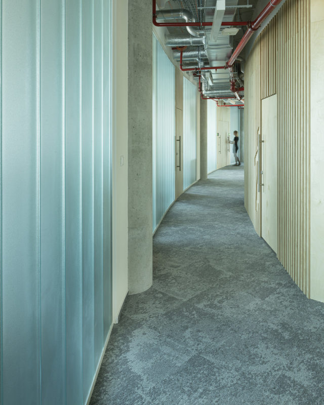 A Tour of MSC’s New Prague Office, INDesign Marketing Services