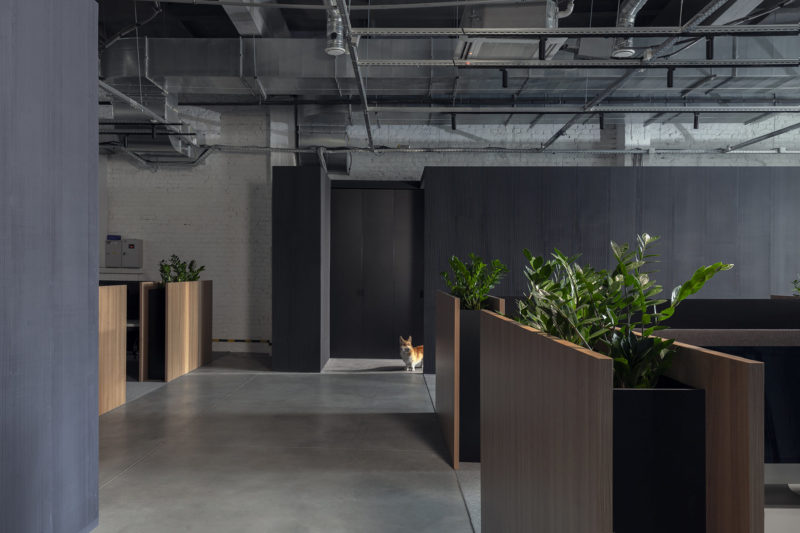 A Look Inside Loóna’s New Minsk Office, INDesign Marketing Services