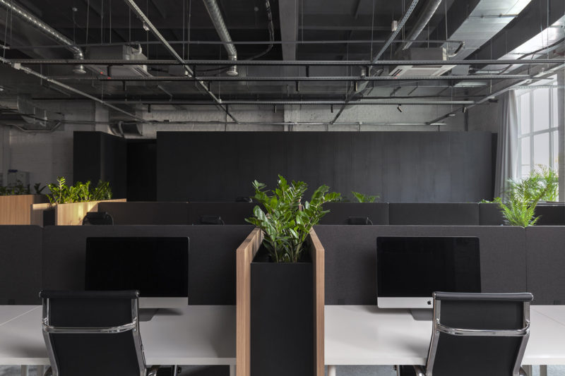 A Look Inside Loóna’s New Minsk Office, INDesign Marketing Services
