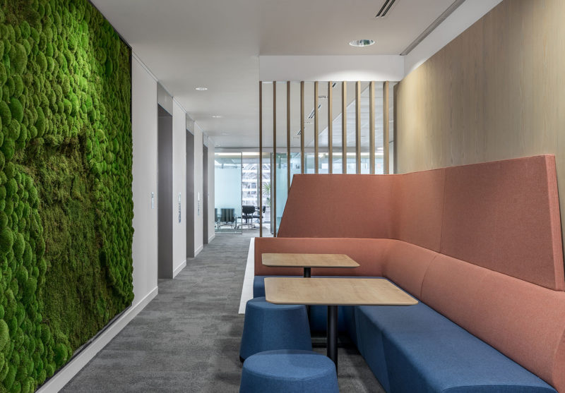 A Look Inside Sainsbury Family Charitable Trusts’ London Office, INDesign Marketing Services