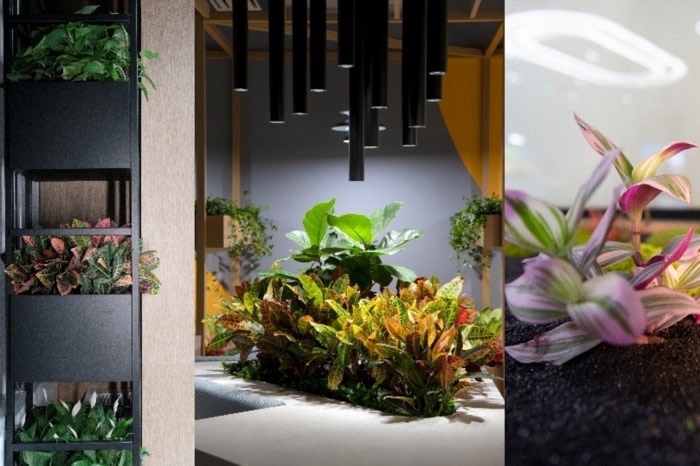 SAP Offices – Shanghai, INDesign Marketing Services