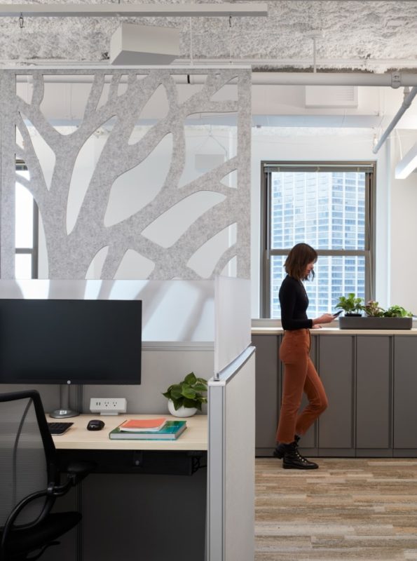 The Nature Conservancy, Illinois Chapter Offices – Chicago, INDesign Marketing Services