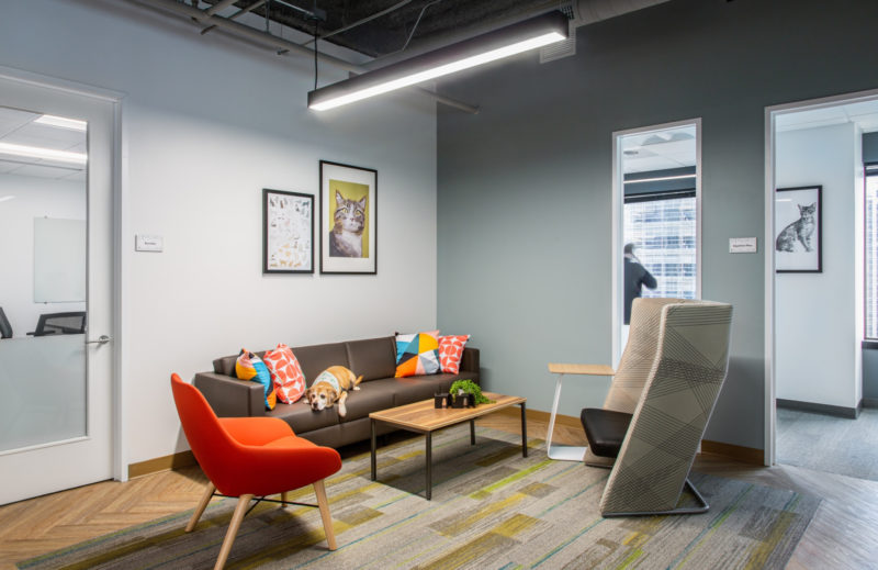 A Tour of Rover’s New Seattle Office, INDesign Marketing Services