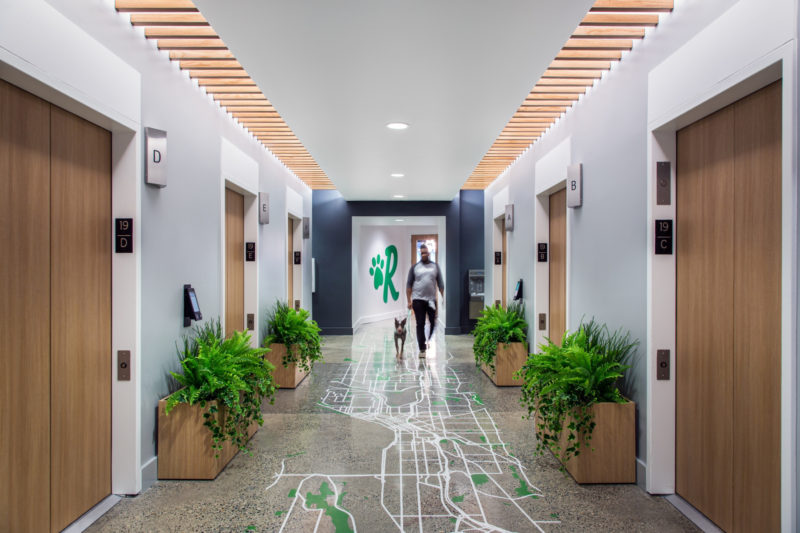 A Tour of Rover’s New Seattle Office, INDesign Marketing Services