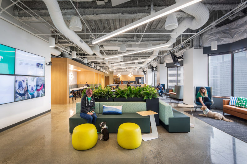 A Tour of Rover’s New Seattle Office, INDesign Marketing Services