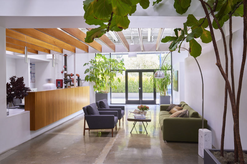 A Look Inside Aether Apparel’s New Los Angeles Office, INDesign Marketing Services