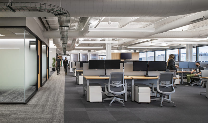 A Look Inside LLamasoft’s New Ann Arbor Office, INDesign Marketing Services