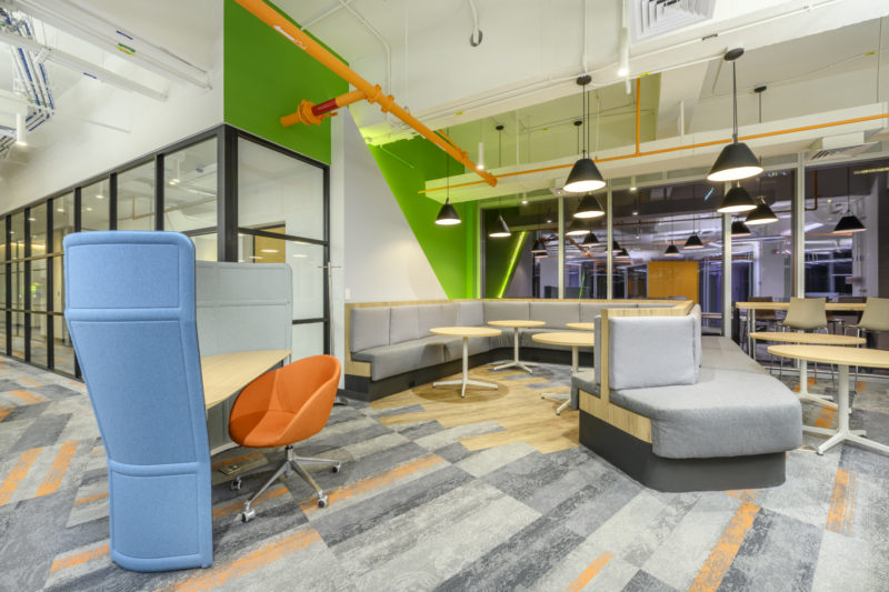 A Look Inside Skandia’s Mexico City Office, INDesign Marketing Services