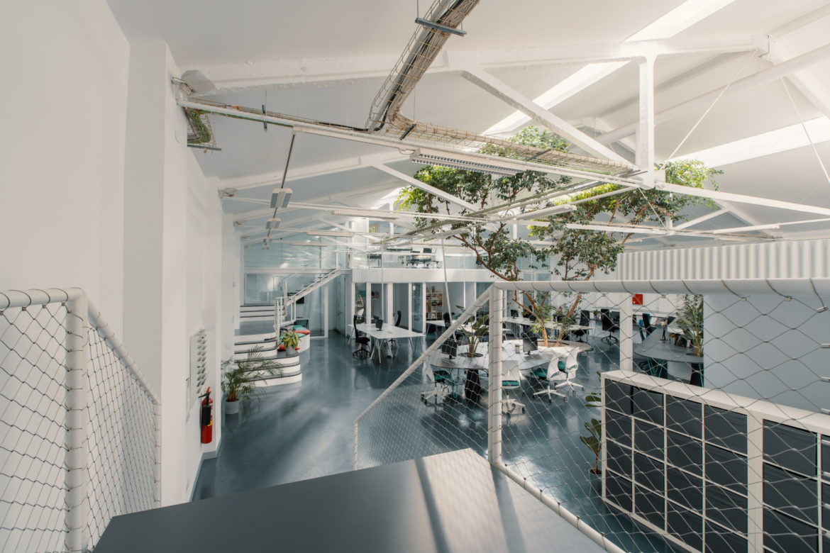 A Look Inside Ficus’ New Madrid Office, INDesign Marketing Services