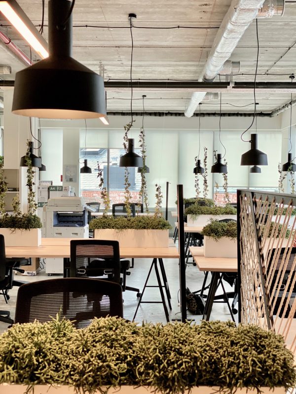 A Look Inside Hive5’s New Brussels Coworking Space, INDesign Marketing Services
