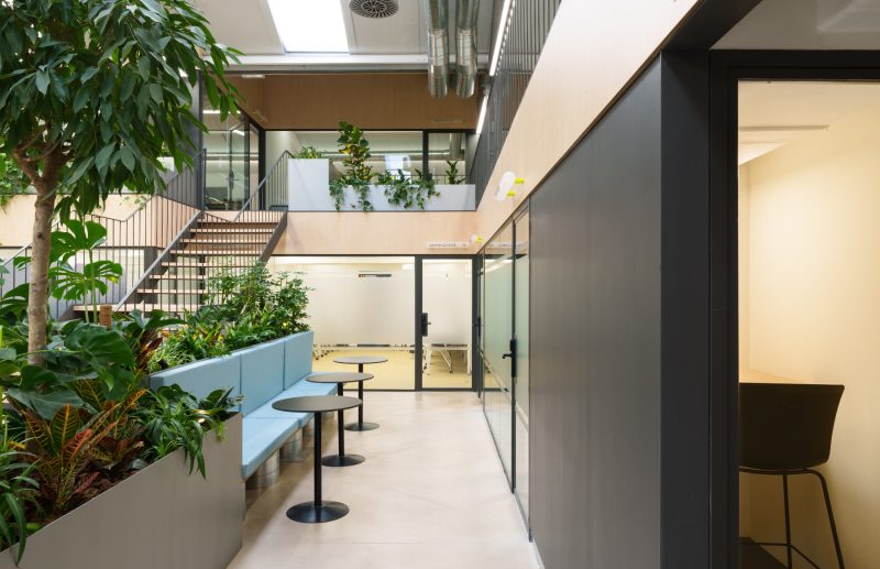 A Look Inside M25’s New Madrid Coworking Space, INDesign Marketing Services