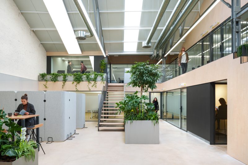 A Look Inside M25’s New Madrid Coworking Space, INDesign Marketing Services