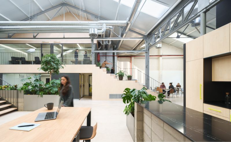 A Look Inside M25’s New Madrid Coworking Space, INDesign Marketing Services